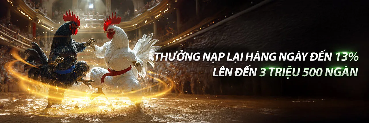 Khuyến mãi mcw18 khuyến mãi 2026 độc quyền