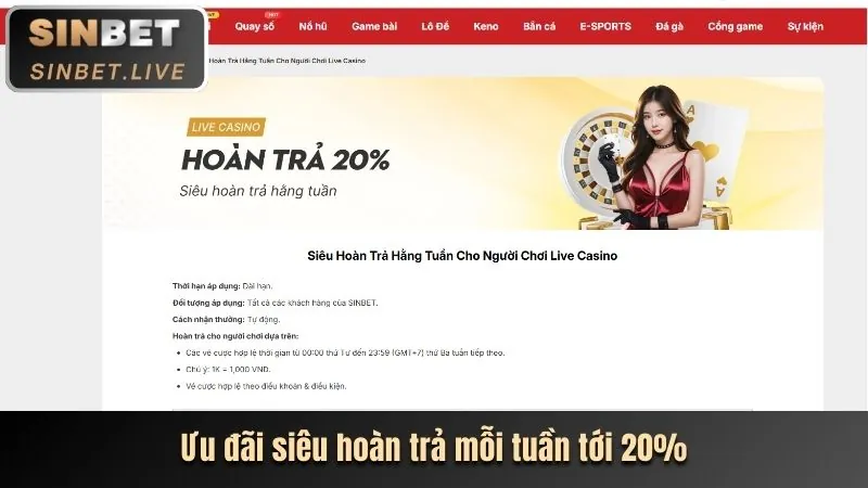 Tổng quan về Điều Khoản Dịch Vụ mcw18 khuyến mãi